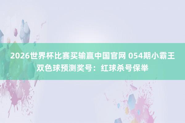 2026世界杯比赛买输赢中国官网 054期小霸王双色球预测奖号：红球杀号保举
