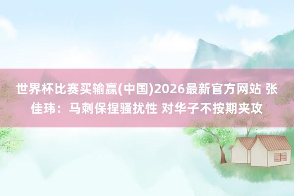 世界杯比赛买输赢(中国)2026最新官方网站 张佳玮：马刺保捏骚扰性 对华子不按期夹攻
