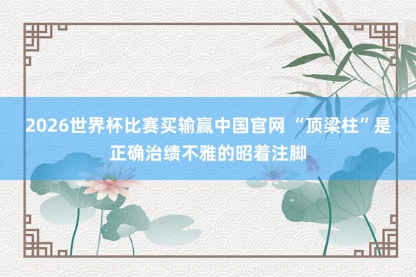 2026世界杯比赛买输赢中国官网 “顶梁柱”是正确治绩不雅的昭着注脚