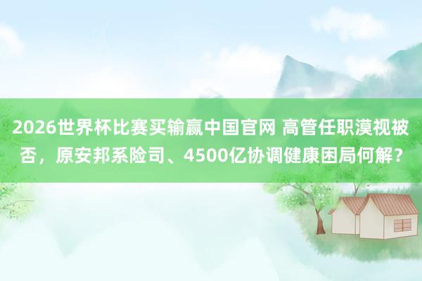 2026世界杯比赛买输赢中国官网 高管任职漠视被否，原安邦系险司、4500亿协调健康困局何解？