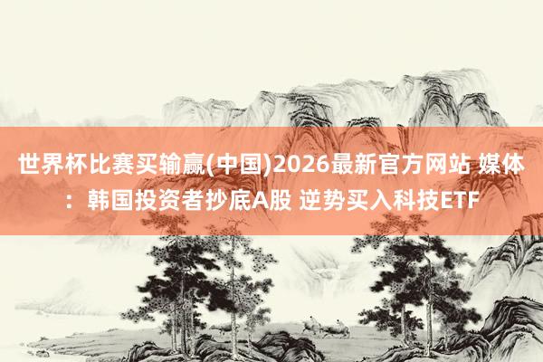 世界杯比赛买输赢(中国)2026最新官方网站 媒体:韩国投资者抄底A股 逆势买入科技ETF