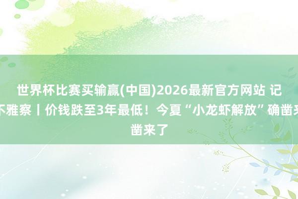 世界杯比赛买输赢(中国)2026最新官方网站 记者不雅察丨价钱跌至3年最低！今夏“小龙虾解放”确凿来了