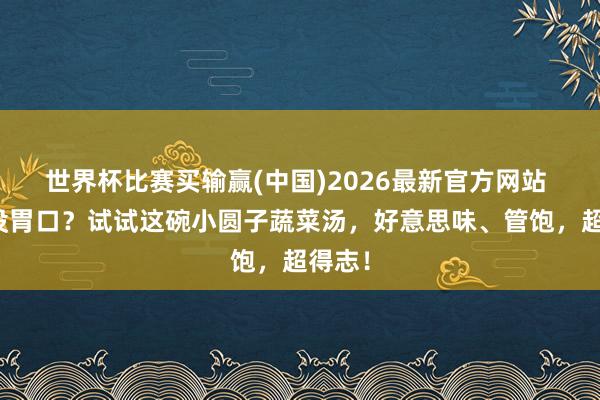 世界杯比赛买输赢(中国)2026最新官方网站 热到没胃口？试试这碗小圆子蔬菜汤，好意思味、管饱，超得志！