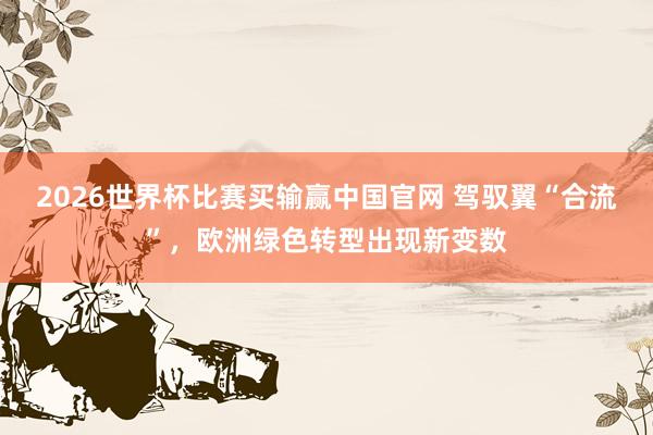 2026世界杯比赛买输赢中国官网 驾驭翼“合流”，欧洲绿色转型出现新变数