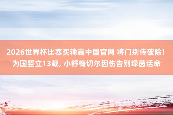 2026世界杯比赛买输赢中国官网 将门别传破除! 为国竖立13载， 小舒梅切尔因伤告别绿茵活命