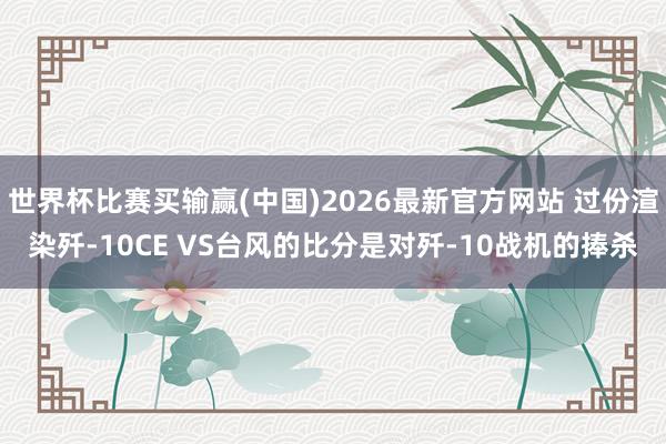 世界杯比赛买输赢(中国)2026最新官方网站 过份渲染歼-10CE VS台风的比分是对歼-10战机的捧杀