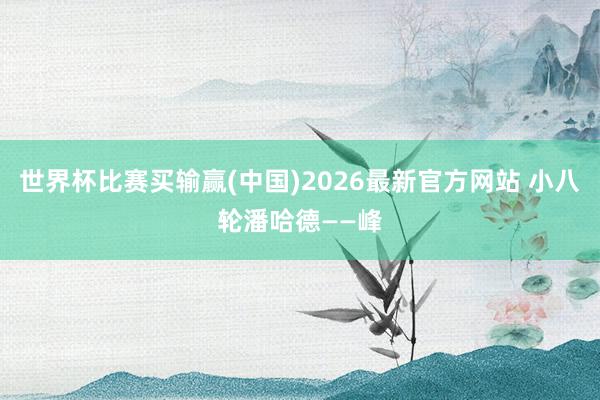 世界杯比赛买输赢(中国)2026最新官方网站 小八轮潘哈德——峰