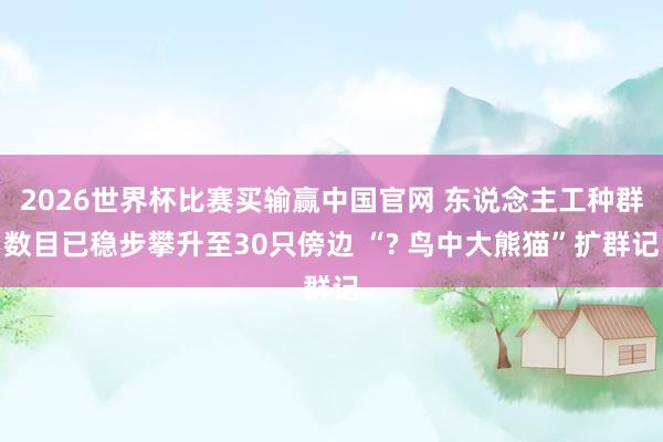 2026世界杯比赛买输赢中国官网 东说念主工种群数目已稳步攀升至30只傍边 “? 鸟中大熊猫”扩群记