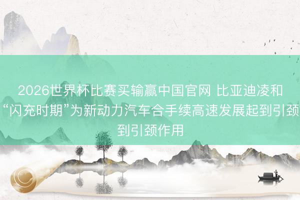 2026世界杯比赛买输赢中国官网 比亚迪凌和平：“闪充时期”为新动力汽车合手续高速发展起到引颈作用