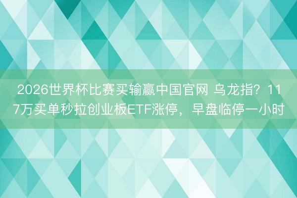 2026世界杯比赛买输赢中国官网 乌龙指？117万买单秒拉创业板ETF涨停，早盘临停一小时