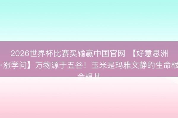 2026世界杯比赛买输赢中国官网 【好意思洲展·涨学问】万物源于五谷！玉米是玛雅文静的生命根基